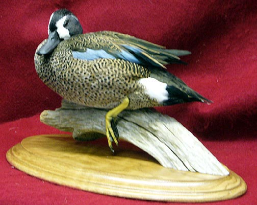 Mount from Simpson Taxidermy Studio