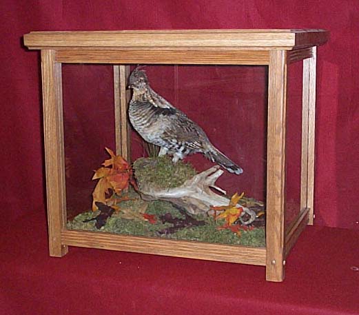 Mount from Simpson Taxidermy Studio