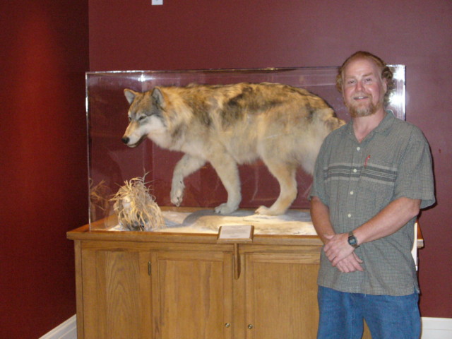 Mount from Simpson Taxidermy Studio