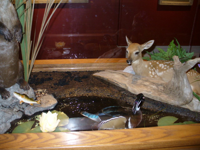 Mounted gamebird