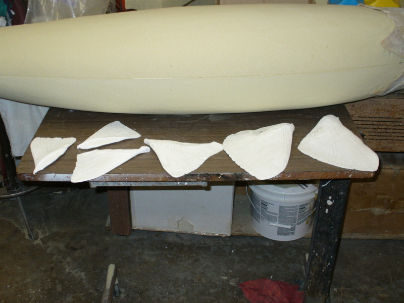 Mount from Simpson Taxidermy Studio