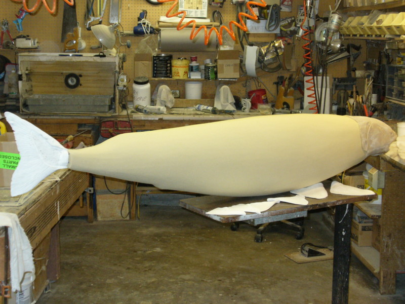 Mount from Simpson Taxidermy Studio