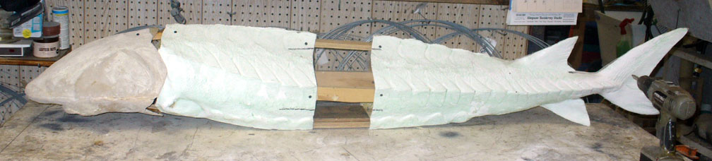 Mount from Simpson Taxidermy Studio