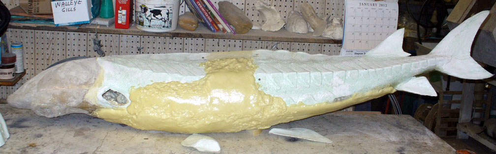 Mount from Simpson Taxidermy Studio