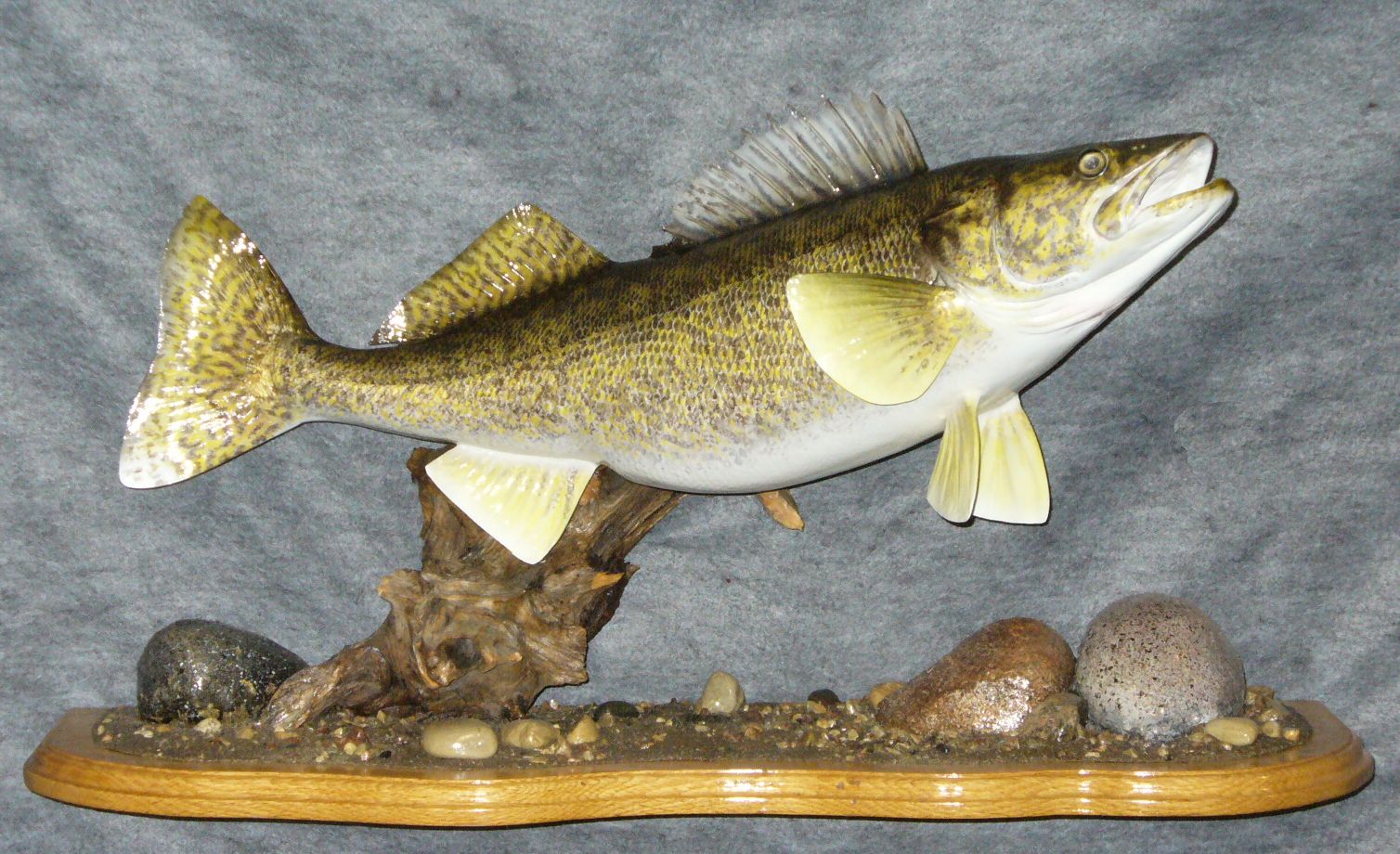 Mount from Simpson Taxidermy Studio