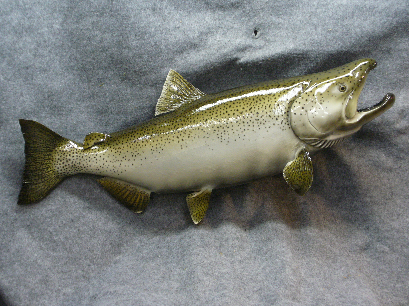 Mount from Simpson Taxidermy Studio