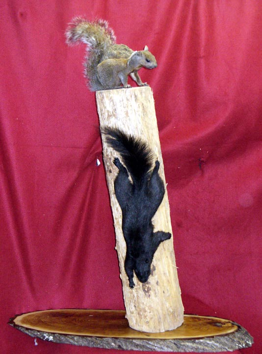 Mount from Simpson Taxidermy Studio