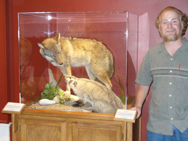 Mount from Simpson Taxidermy Studio