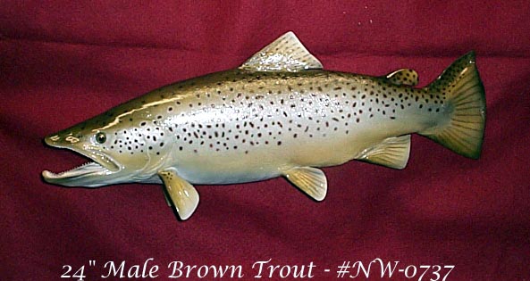 Mount from Simpson Taxidermy Studio